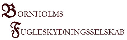 logo BFS banner 430 135